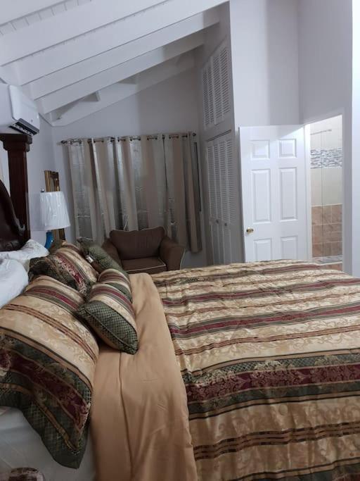 Escape At The Oasis- New Kingston Area -24Hrs Security, Elevator, Water Heater, Wifi Exterior foto